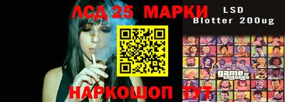 гидропоника Ставрополь