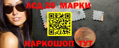 гидропоника Ставрополь